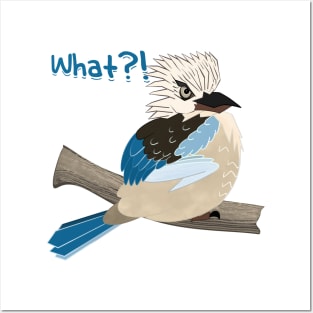 Angry Kookaburra asking What? Funny design by LozsArt Posters and Art